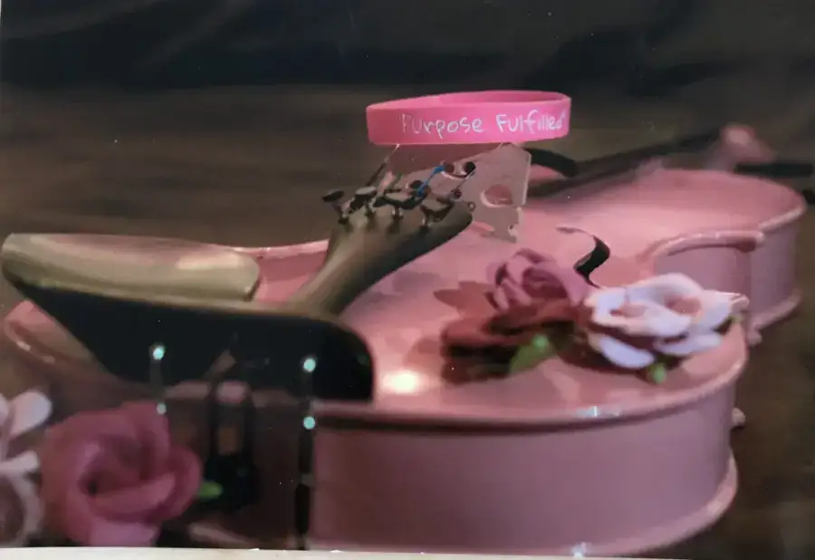 Molly's pink violin